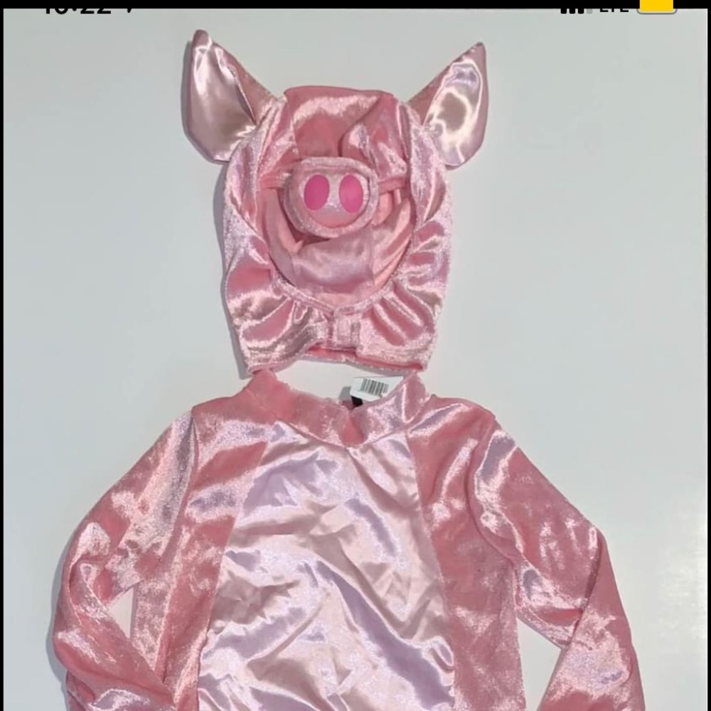Children’s pig costume